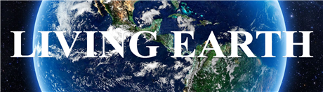 Banner Picture